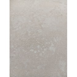 Papel Tapiz Beige, crema Diseño inspirado sobre una textura de fantasía sobre un efecto metálico Rasch-FV-315134.