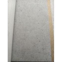 Papel Tapiz Gris, plata Diseño inspirado sobre hormigón puro Rasch-FV-520866.